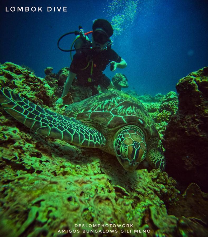 Amigos Bungalows Gili Meno Dış mekan fotoğraf